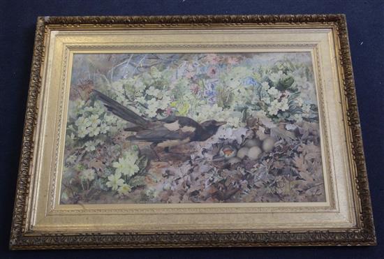 Rosa Jameson (Strutt) Poached Eggs 42 x 66cm